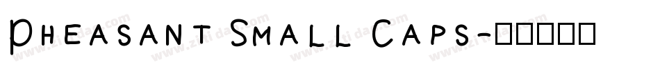 Pheasant Small Caps字体转换